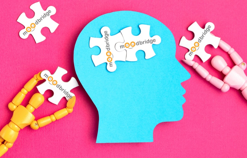 [COMING SOON] Mental Health Startup, MoodBridge, Aims To Deliver The Best Emotional Support On The Internet!