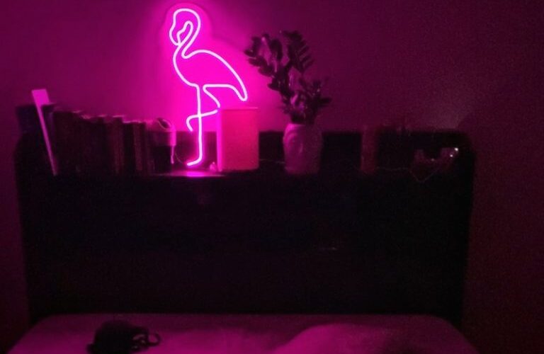 Increasing Demand of Fancelite’s Neon Light Signs this Diwali