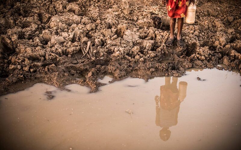 Karnataka Government Offers Compensation and Takes Swift Action in Tragic Contamination Incident