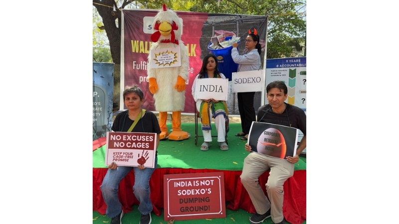 Animal Rights Groups Slam Sodexo for Neglecting Cage-Free Egg Promise in India