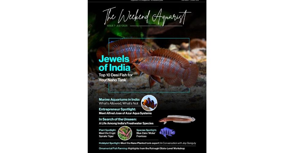 The Weekend Aquarist Releases Its 7th Issue — Available on Magzter and in Print Across India